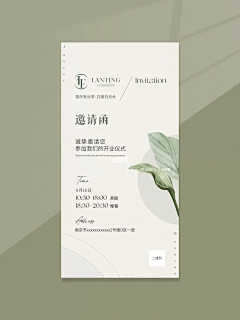 小小最爱吃香菜采集到茶包包装
