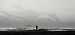 世界, 人的, 日落, 天空, 云, 海, 地球, 环球, 剪影, 背景