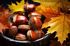 美味糖炒板栗摄影图