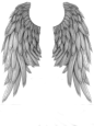 【素材】整理的精灵&天使&恶魔翅膀PNG_cos后期吧_百度贴吧