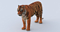 Tiger, Dmytro Teslenko : http://www.turbosquid.com/FullPreview/Index.cfm/ID/1071602?ID=1071602&seo=0?referral=Missset