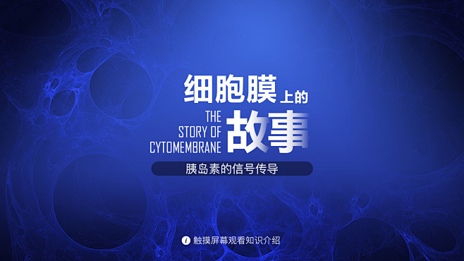 细胞膜上的故事