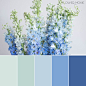 Flower Moxie light blue delphinium,  blue wedding palette, DIY wedding flowers, DIY wedding bouquet.