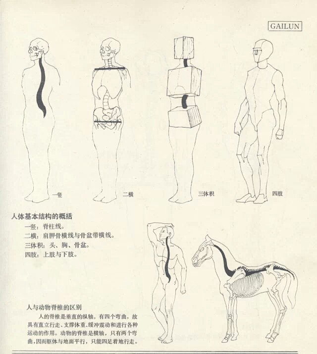 人体结构素材
分享教学资源http://...