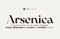 意大利新艺术折衷艺术衬线字体家族系列 Zetafonts - Arsenica Font Family