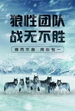 狼性团队  - 源文件下载【酷图网】狼性,精神,企业文化,狼,海报,团队