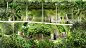 2020年迪拜世博会新加坡馆设计 / WOHA – mooool木藕设计网