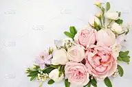 玫瑰,夏天,脆弱,花朵,请柬,贺卡,边框,浪漫,装饰物,植物