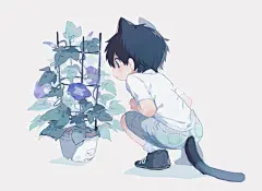 来自相册