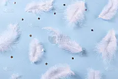 白色羽毛和银色五彩纸屑在蓝色背景。柔软的质地细腻。时尚豪华的模式。平躺，俯视图
