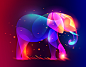 Fantasy Light Set 3