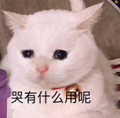 南方菇凉玖茉鸭采集到Emoticon