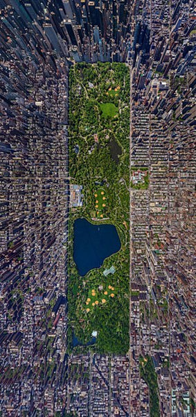 美国纽约的中央公园