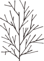 抽象树枝 PNG免抠图