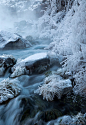 盒峡谷温泉在爱达荷州。 温暖的泉水迅速蒸发的冷，形成整齐的冰队.... 