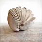 Book of the Seahttps://www.etsy.com/listing/114952777/book-of-the-sea-clamshell-book-shellsculptural hand bound book    From a butter clam shell (Saxidomus giganteus) discovered on the beach off the