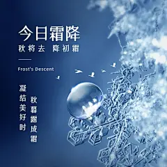 霜降节气祝福冰霜实景合成方形海报