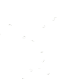 蝴蝶