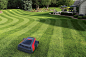 LG Electronics’ robot lawn mower