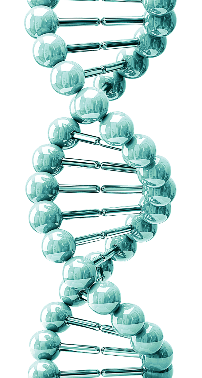 DNA