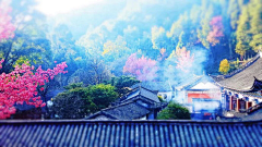 Ruizor采集到颜色