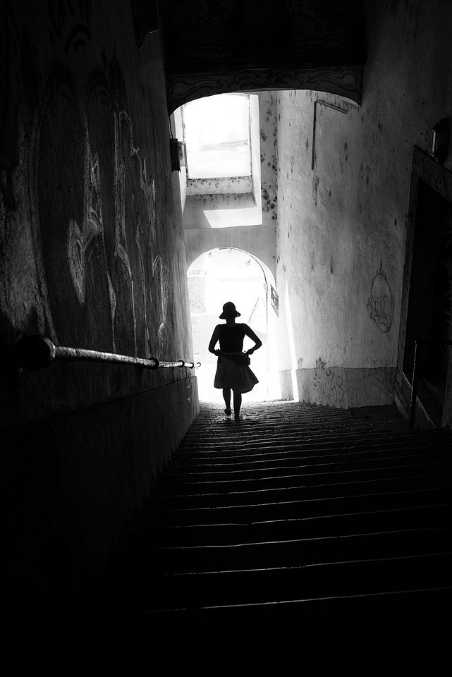 Leica work - Rui Pal...