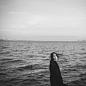 离伤_6