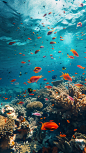 海底世界壁纸