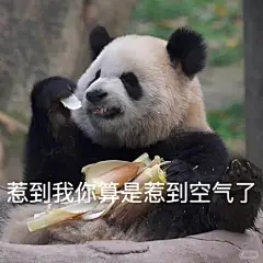 加更 爱姐表情包 - 小红书