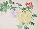 风吹见月明采集到工笔画，荷花