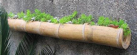 教你用竹筒做花器 如何做实用花盆- DI...