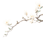花瓣素材_植物系列水墨风垂坠玉兰花花枝_194026635