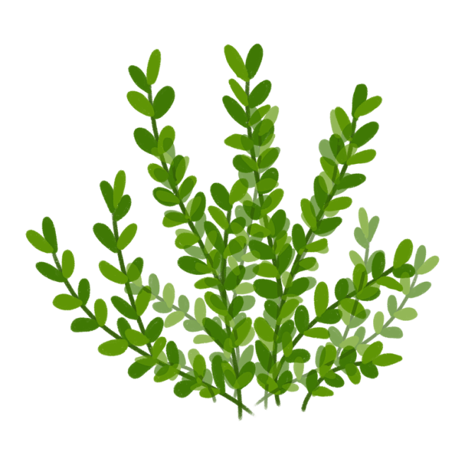 手绘插画植物树叶子高清素材 春天 免费下...