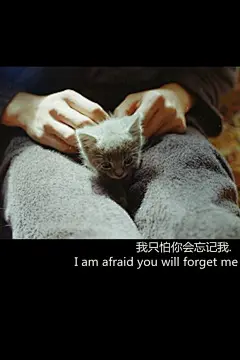 【森系】收藏的森林系小清新手机壁纸 ~_森女吧_百度贴吧