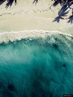 桑给巴尔 户外 景观 性质 风景 海洋