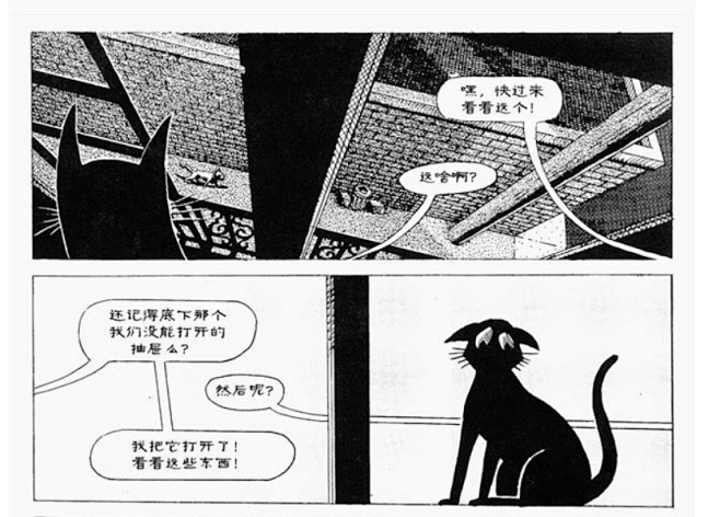 俯视街道 猫