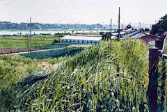 来自田中永己（Tanaka Minori） 日本水彩画家。-@CCIUP中国动漫插画小站-人人小站