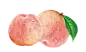 桃子