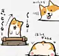 呆萌的柯基 创意素材