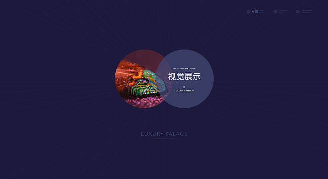 中盛地产视觉提案 : 中盛地产豪宅提案