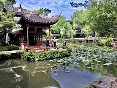 苏州游之七——拙政园是苏州园林的代表和“名片”！有很多精美的看点！有哪些细节看点？如何欣赏呢？图片41,苏州旅游景点,风景名胜 - 马蜂窝图库 - 马蜂窝