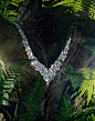 【Fine Jewelry/高级珠宝】 Harry Winston Diamonds by Arthur Woodcroft for LUXURE Magazine the Ultimate Issue. 顶级奢品摄影杂志海瑞·温斯顿钻石组片 |ReccaLee,Fashion in HD|高清时装图志