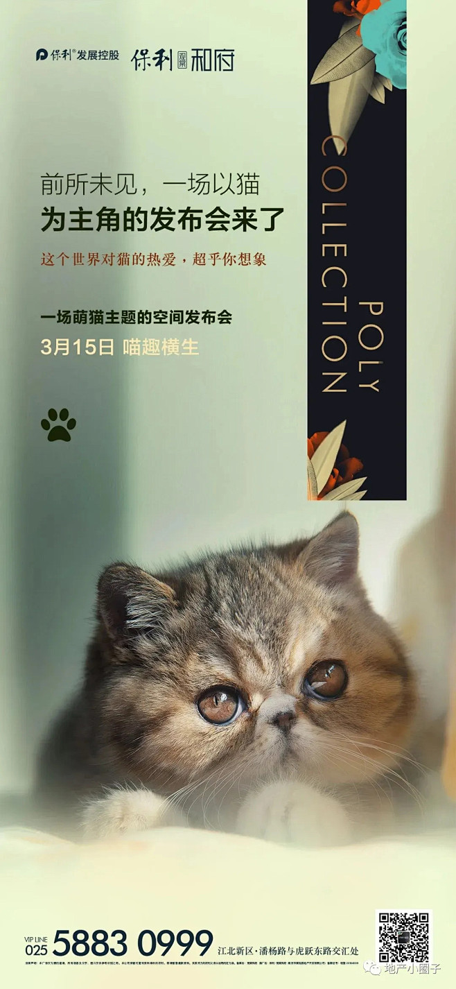 【作品】一只猫的两场地产发布会 : 真 ...