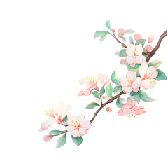 Wilona_mao采集到创意