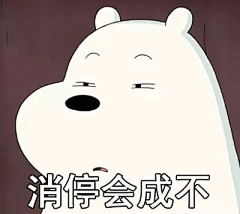 雨天里的太阳采集到咱们裸熊