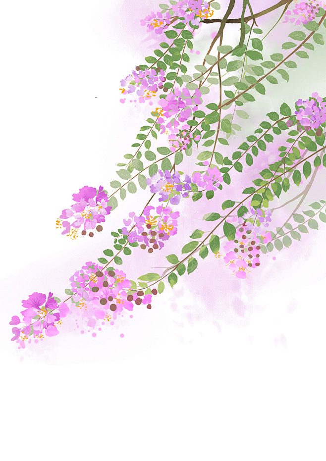 紫薇花_点意__插画师作品_涂鸦王国gr...