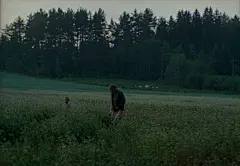 镜子(1975)