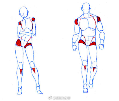 07零柒zeroseven采集到人体参考