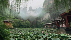 笔诺幽幽采集到场景