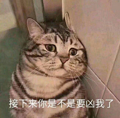 塔普君采集到表情包